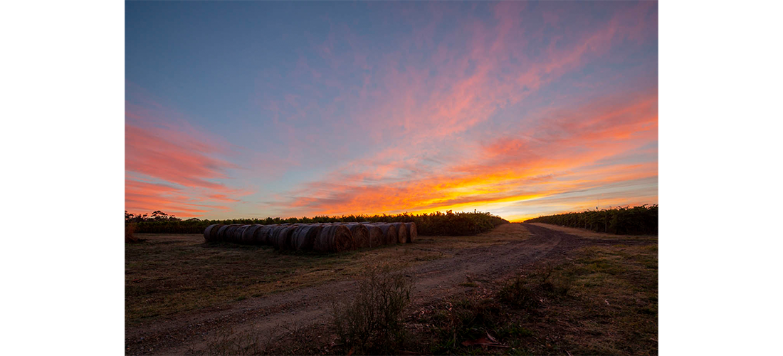 Sunset at Helen's Hill